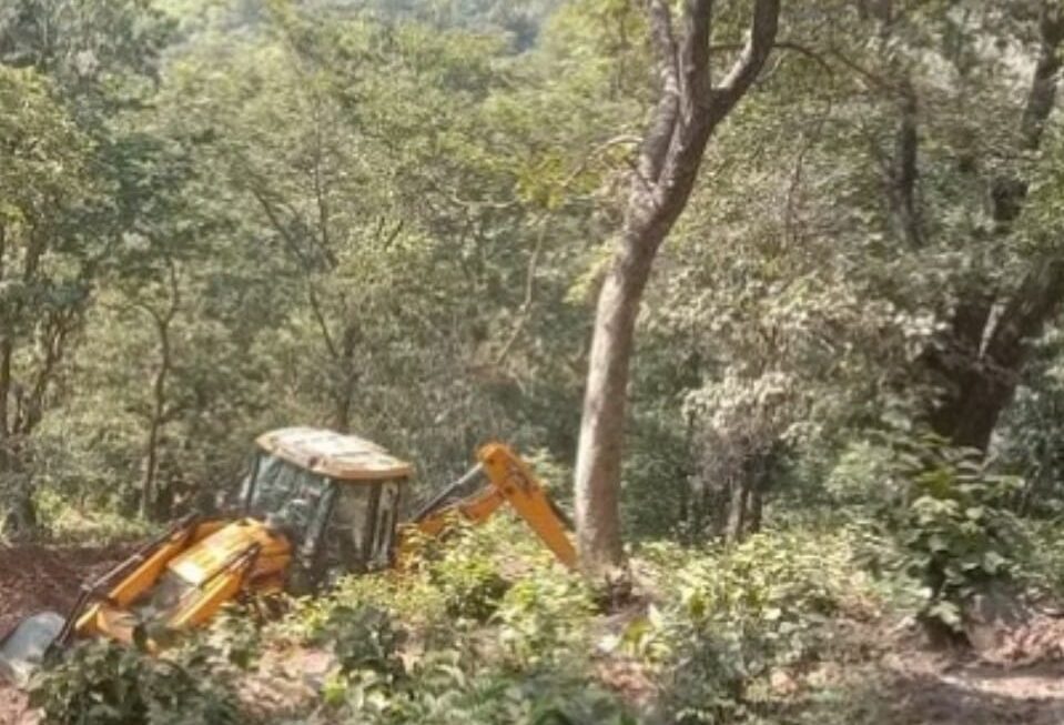 मंत्री प्रेम चंद अग्रवाल के पुत्र के खिलाफ मुकदमा दर्ज, नीलकंठ में रिजॉर्ट बनाने के लिए काट डालें संरक्षित प्रजाति के पेड़।