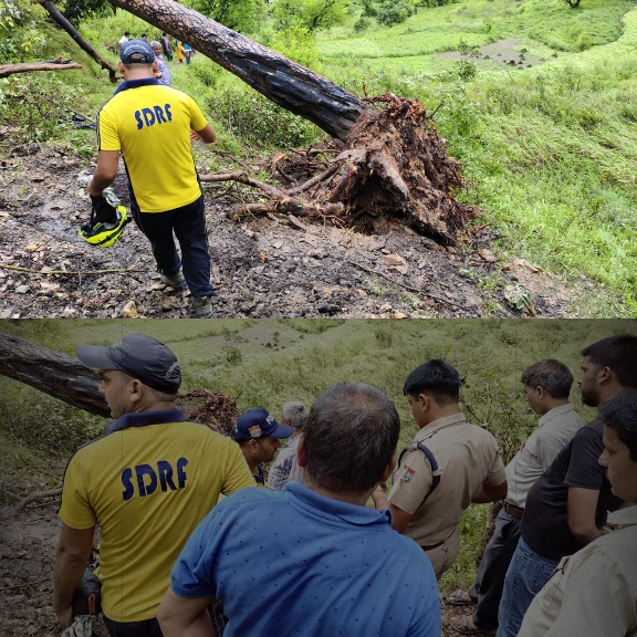 टिहरी के पिलखी नैल में दर्दनाक हादसा, स्कूल से लौटते वक्त पेड़ गिरने से दो मासूमों की मौत।