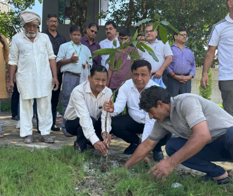 MDDA उपाध्यक्ष बंशीधर तिवारी ने कहा, हरेला उत्तराखंड की आत्मा है। हरेला पर्व सिर्फ परंपरा नहीं, बल्कि हमारी पर्यावरणीय जिम्मेदारियों की अभिव्यक्ति है।