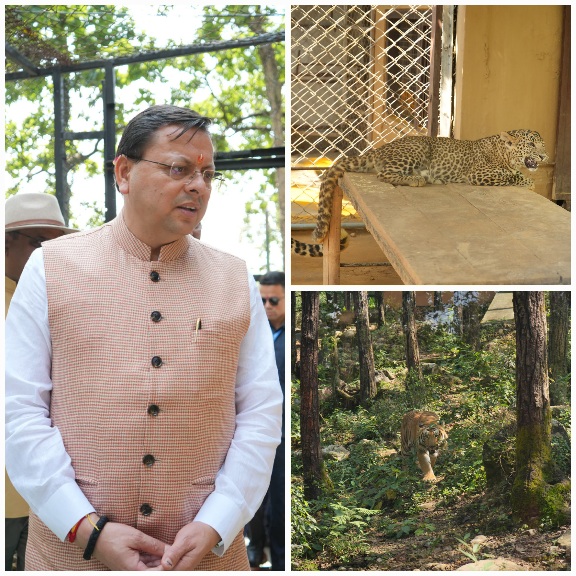 मुख्यमंत्री पुष्कर सिंह धामी ने, वन्य जीव प्राणी सप्ताह का किया शुभारंभ।