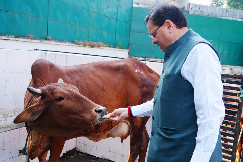 सीएम धामी ने गोवर्धन पूजा के अवसर पर, गौमाता की पूजा-अर्चना कर प्रदेश की खुशहाली की कामना की।