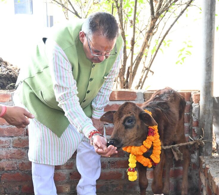 गोवर्धन पूजा के अवसर पर गौमाता का किया पूजन, कैबिनेट मंत्री गणेश जोशी।