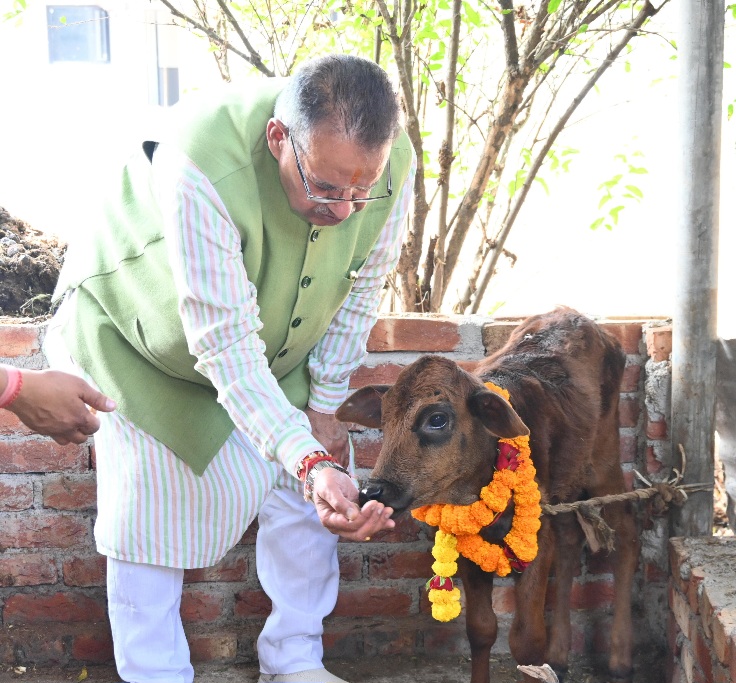 गोवर्धन पूजा के अवसर पर गौमाता का किया पूजन, कैबिनेट मंत्री गणेश जोशी।