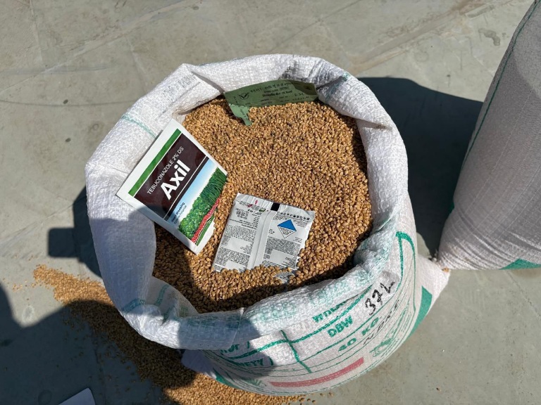 आईसीएआर द्वारा देहरादून के किसानों को, नई गेहूँ की किस्में उपलब्ध कराई गई।