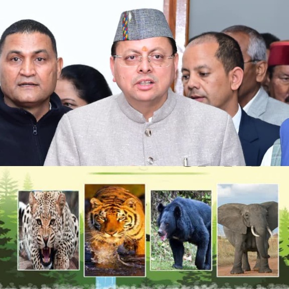 वन्य जीवों से नुकसान पर मुआवजे का दायरा बढ़ा, ततैंया औैर मधुमक्खी के काटने पर भी अब मिल रहा है मुआवजा।