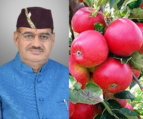 सेब काश्तकारों के लिए बड़ी राहत, अति सघन बागवानी योजना में ₹29.25 करोड़ जारी।