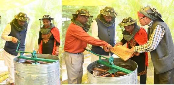 कृषि मंत्री गणेश जोशी ने अपने शासकीय आवास में निकाला शहद, 30 बक्सों से निकला 60 किलोग्राम से अधिक शहद। 