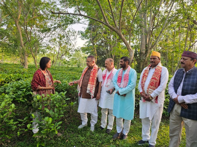 असम के बरपाथार स्थित चाय बागानों का किया निरीक्षण, कृषि मंत्री गणेश जोशी।