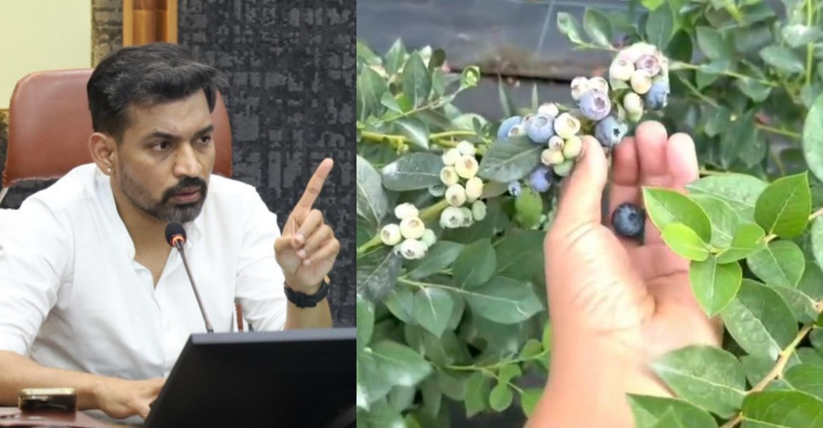 ब्लूबेरी फार्मिंग को बनाया जाएगा सफल मॉडल, किसानों के साथ खड़ा रहेगा प्रशासन, डीएम डॉ. आशीष चौहान।