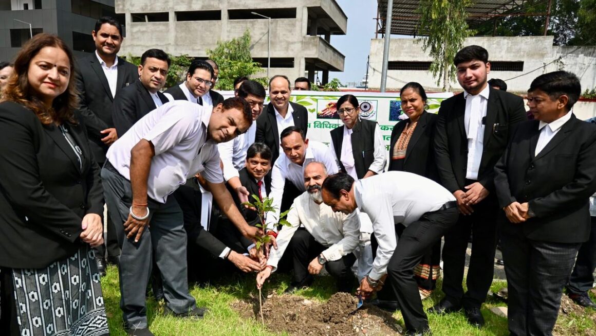 देहरादून जिला न्यायालय परिसर में ‘हरेला’ पर भव्य वृक्षारोपण, न्यायधीशों व वकीलों ने पौधों के संरक्षण का लिया संकल्प।