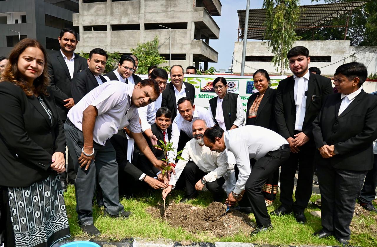 देहरादून जिला न्यायालय परिसर में ‘हरेला’ पर भव्य वृक्षारोपण, न्यायधीशों व वकीलों ने पौधों के संरक्षण का लिया संकल्प।