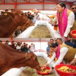 मुख्यमंत्री ने हल्दीघेरा, खटीमा में ₹7.23 करोड़ की लागत से निर्मित गौशाला का किया लोकार्पण।