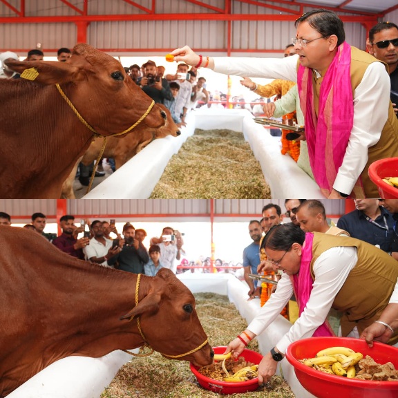 मुख्यमंत्री ने हल्दीघेरा, खटीमा में ₹7.23 करोड़ की लागत से निर्मित गौशाला का किया लोकार्पण।